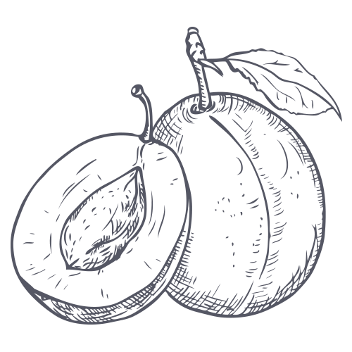 DAVIDSON PLUM FRUIT EXTRACTS