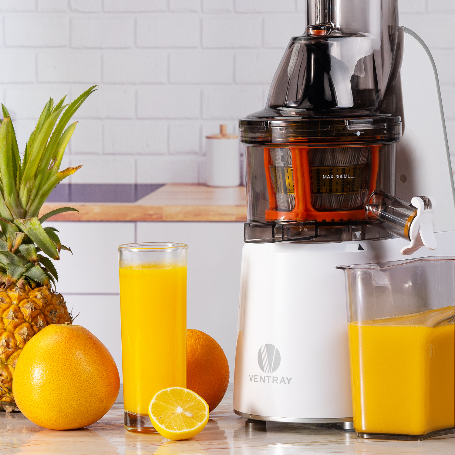 800 Masticating Juicer Ventray Kitchen