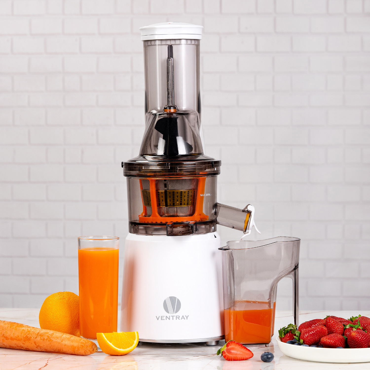 800 Masticating Juicer Ventray Kitchen
